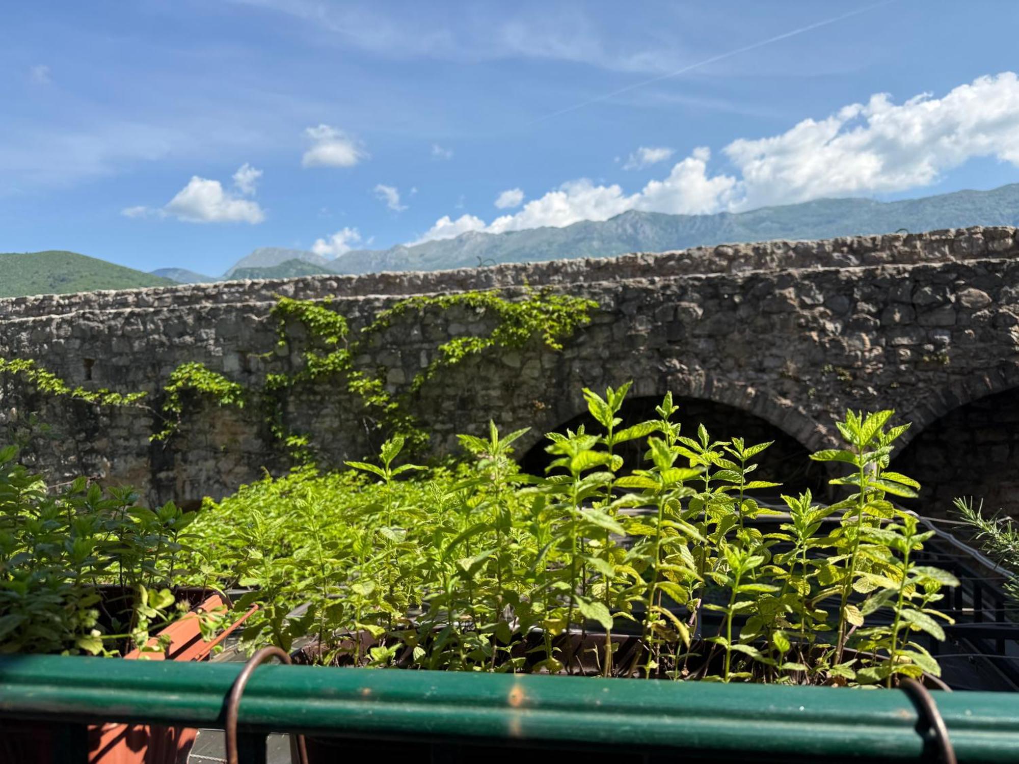 Apartments Aleksic Old Town Μπούντβα Εξωτερικό φωτογραφία